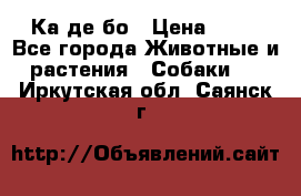 Ка де бо › Цена ­ 25 - Все города Животные и растения » Собаки   . Иркутская обл.,Саянск г.